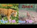 Latest Tiger Sightings In Ranthambore Tiger Noor T 39 Tiger T 58 At Zone 6 In July 2020 Latest Tiger Sightings In Ranthambore Tiger Noor T 39 Tiger T 58 At Zone 6 In July 2020