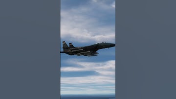 Types of players in DCS World #shorts #dcs #dcsworld