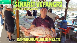 FANGRİ VE SİNARİT MÜKEMMELDİ.05.06.2024 CANLI YAYIN