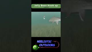 Jelly Bean hook up Shorts screenshot 5