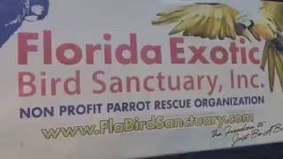 Virtual tour of the florida exotic bird sanctuary in hudson, fl