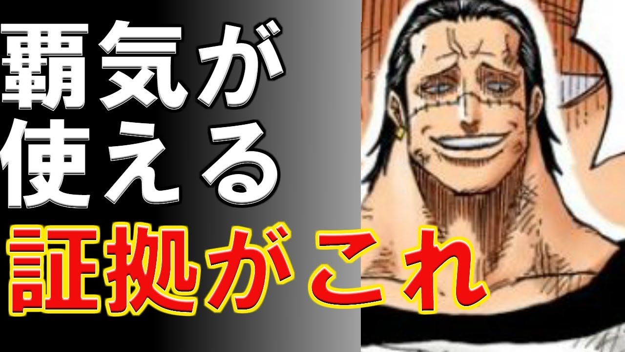 ワンピース クロコダイル 覇気が使えた その証拠がこれ 考察 1808 Youtube