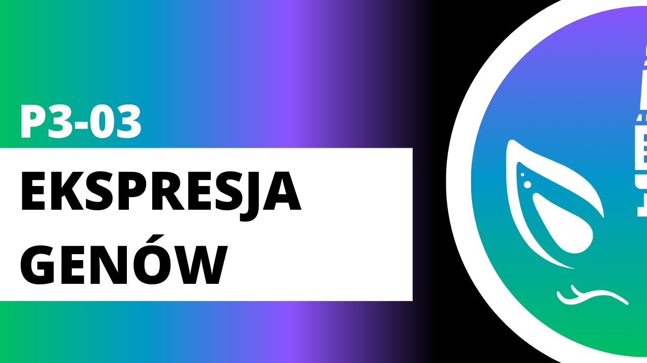 Sprawdzian Z Biologia Na Czasie Ekspresja Genów