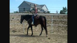 Hank 053012.wmv
