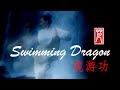 Swimming Dragon Qigong for Longevity 龍游功（三環功）養生氣功 with Vivien Chao