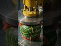 “Watermelon vs Machine… brutal ending 😳”#foryou #ai #100kvews #viral #youtubeshorts #1mview #100