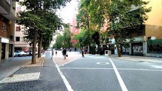 IMG 1115