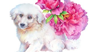 Pet Portrait Watercolor Demo 🐶