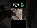 apke yha kya kehte hai #garhwal #trending #culture #travel #hometown #viralvideo #yt #djiosmoactio