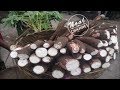 Process Of Making Cassava Flour by Manual Method - Cassava processing line