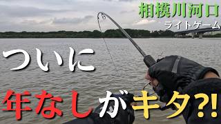 相模川河口】ついに目標だったチヌの年なしがキタか？！【2026年9月12