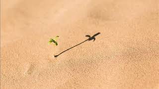 #القارئ عبدالرحمن الماجد #سورة | AlMujadilah_المجادلة | #Reciter Abdulrahman Al-Majed #Surah