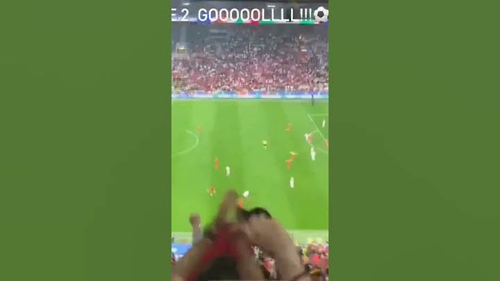 Arda's goal from the stands Turkey vs Georgia 🤯😍🇹🇷#TURvGEO #EURO2024   