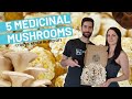 5 Medicinal Mushrooms You've Never Heard Of (Benefits and More)