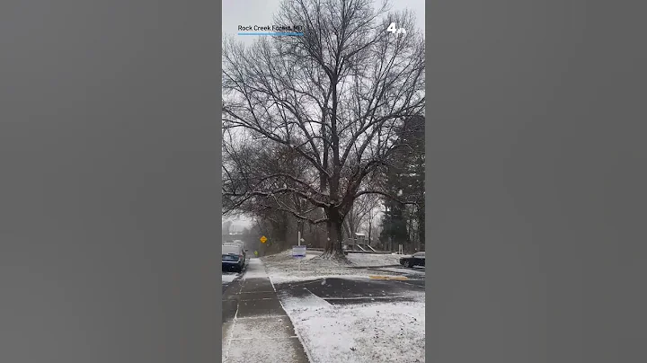 December's first snowfall around the DC area | NBC4 Washington