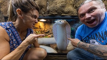 PUTTING A WHITE COBRA IN MY REPTILE ZOO!! | BRIAN BARCZYK
