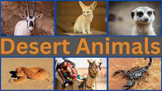 Desert Animals | Desert Animals Name