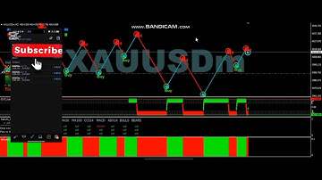 MT4 Scalping Strategy Gold Live Entries