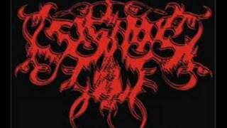 Signos - Shadows of the Past