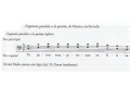 Organum paralelo por quintas tu patris sempiternus annimo musica schiriadis partitura audicin