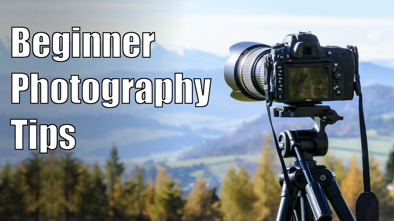 Quick Photography Tips by a Beginner for Beginners - YouTube