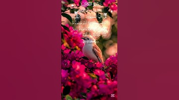 سورة الكافرون