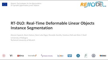 RT-DLO: Real-Time Deformable Linear Objects Instance Segmentation