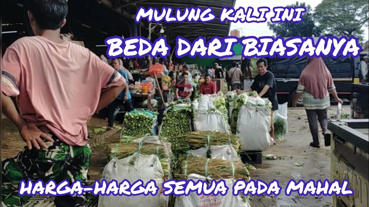 MASIH DAPET HASIL AJA UDAH ALHAMDULILLAH 😇😇🥰