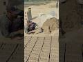 traditional brick and mortar and #shorts