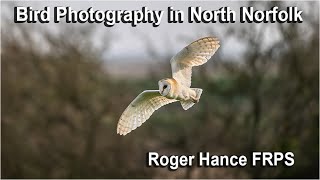 Bird Photography in North Norfolk