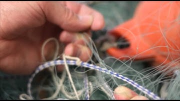 A Guide to Netting