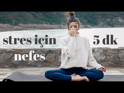 Video: Egzersiz Yoluyla Stres Nasıl Azaltılır: 12 Adım (Resimlerle)