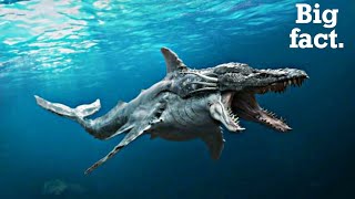 Top 5 Most dangerous sea creatures in the world 2022 | 99.99% of people don't know this big fact.