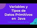 Variables y Tipos de Datos Primitivos en Java - Ada School