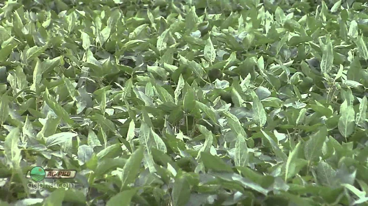 Ag PhD Show #814 (Air Date 11/10/13)