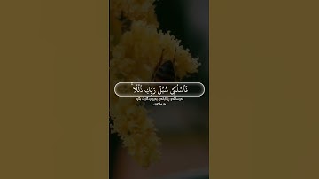 (سورة النحل)(ياسر الدوسري)