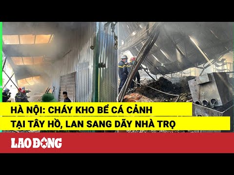Video Hà Nội: Cháy kho bể cá cảnh tại Tây Hồ, lan sang dãy... - youtube