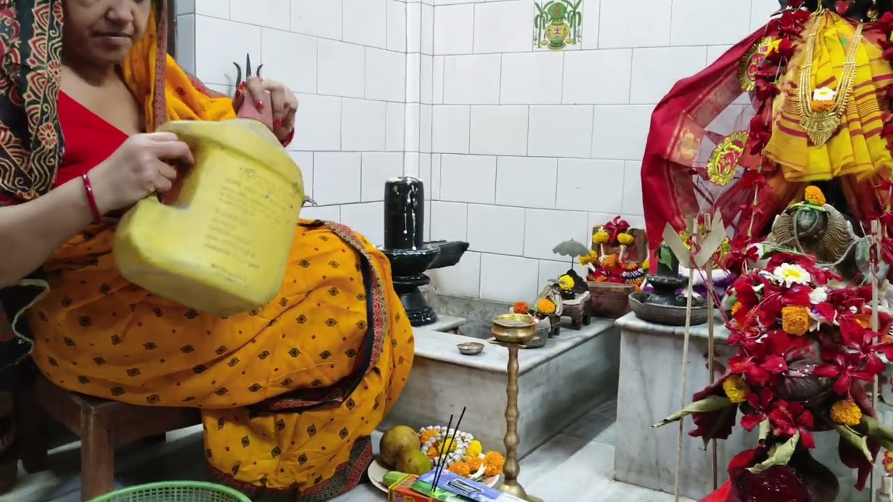 শিবরাত্রির পবিত্র দিনে উপোস করে বাবার মাথায় জল অর্পণ করলাম🙏