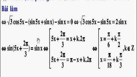 Hướng dẫn giải de thi cao đẳng môn sinh 2009 năm 2024