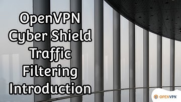 OpenVPN Cyber Shield Traffic Filtering Introduction