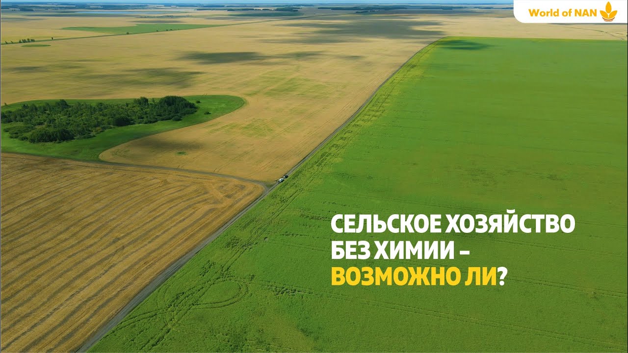 Сельское хозяйство без химии – возможно ли? - YouTube