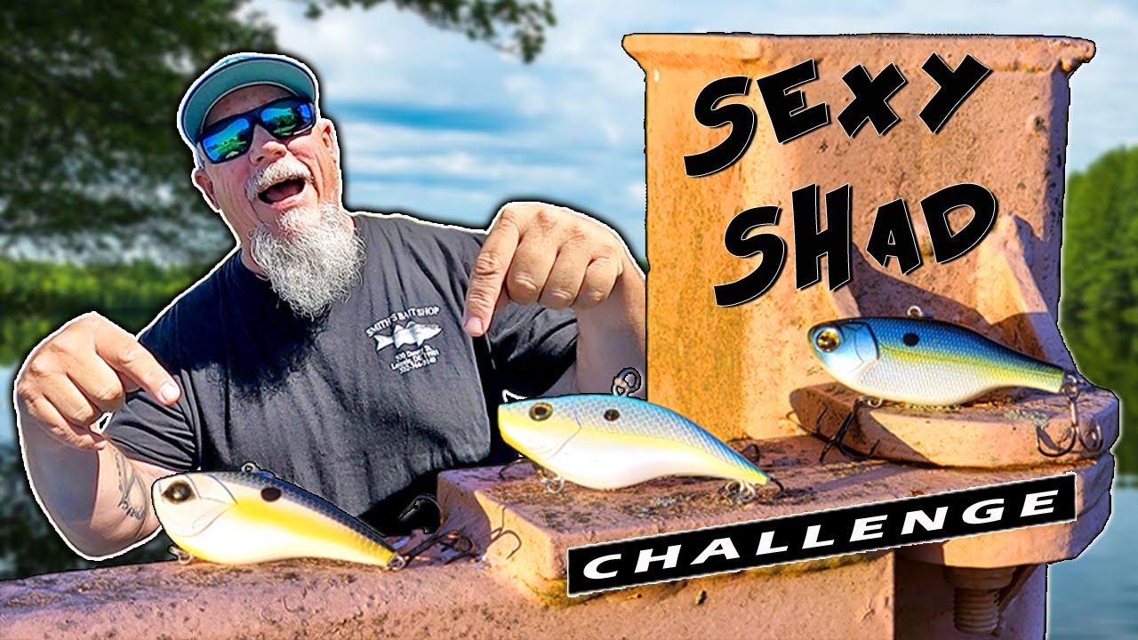 Lipless Crankbait Fishing in Fall 🔥 Sexy Shad Challenge 🔥 