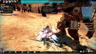 Vindictus Shining Shakarr(0 Att Speed Test)