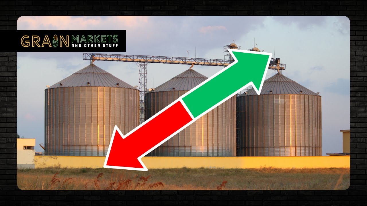 REVERSAL: Grains Rally from Fresh Lows - Does it Matter?? - YouTube
