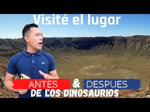 Vídeo: Los Científicos Investigaron El Cráter Del Meteorito Que Mató A Los Dinosaurios - Vista Alternativa