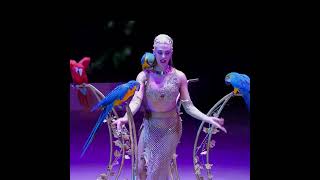 Elisa Cussadie - Parrot act / Papagájszám - 15. Budapest Circus Festival - 2024 - Silver / Ezüst díj
