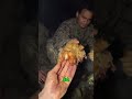 Jungle Survival: Epic Campfire Feast with Tactical Gear! #shorts