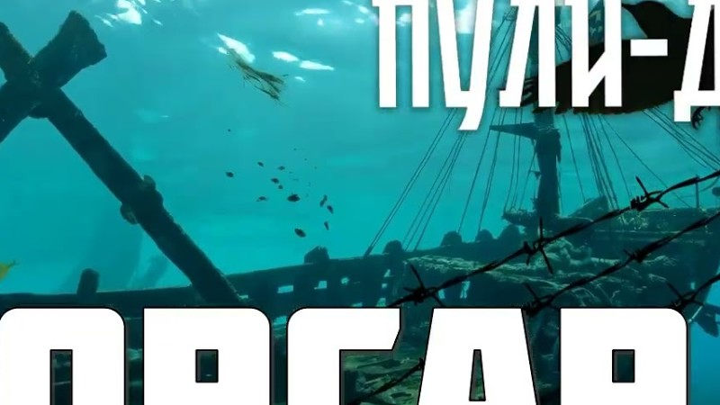 Группа Пули Дни   Корсар