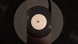 Jah Free - The Wicled Can't Run | 7" Vinyl | Dub Reggae #reggae #vinyl