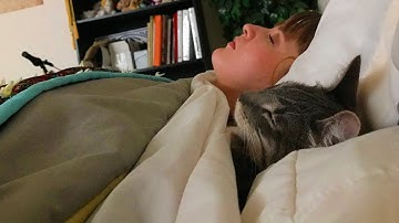 When Cats Are Imitating Their Human 😂 Funny Cat Videos